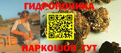 гидропоника Славгород