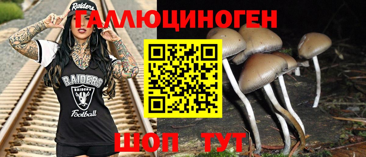 Псилоцибиновые грибы GOLDEN TEACHER Северобайкальск